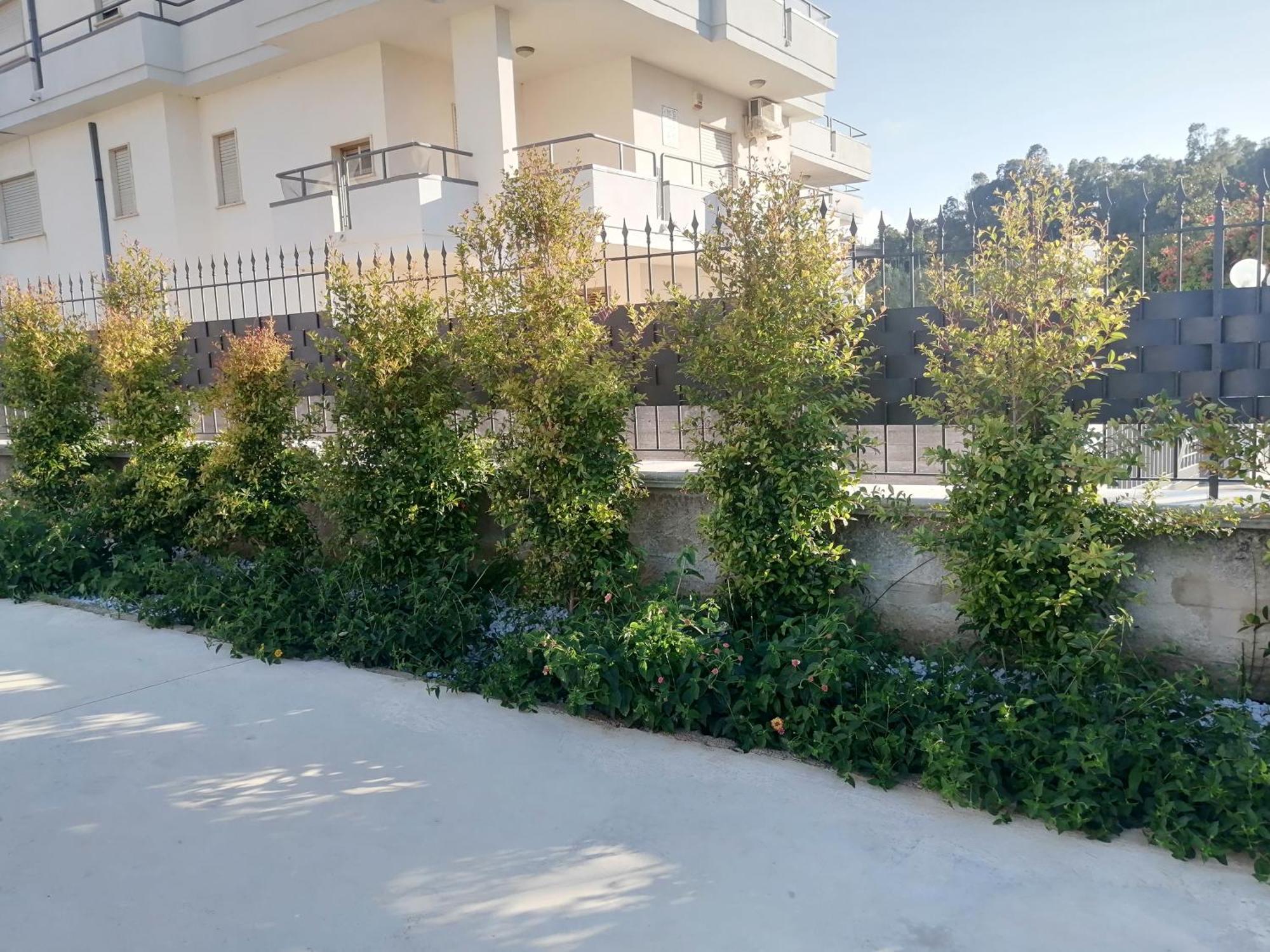 Residence Mare Azzurro Balestrate Extérieur photo